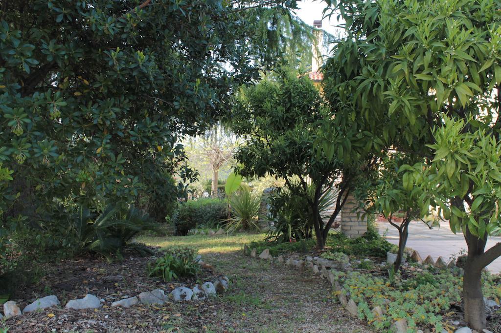 B&B Azzurra Pescara Zewnętrze zdjęcie
