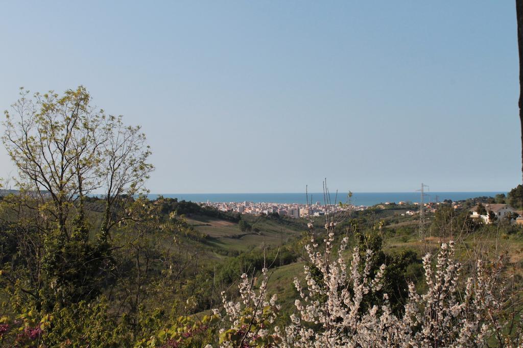 B&B Azzurra Pescara Zewnętrze zdjęcie