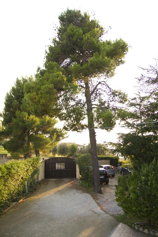 B&B Azzurra Pescara Zewnętrze zdjęcie